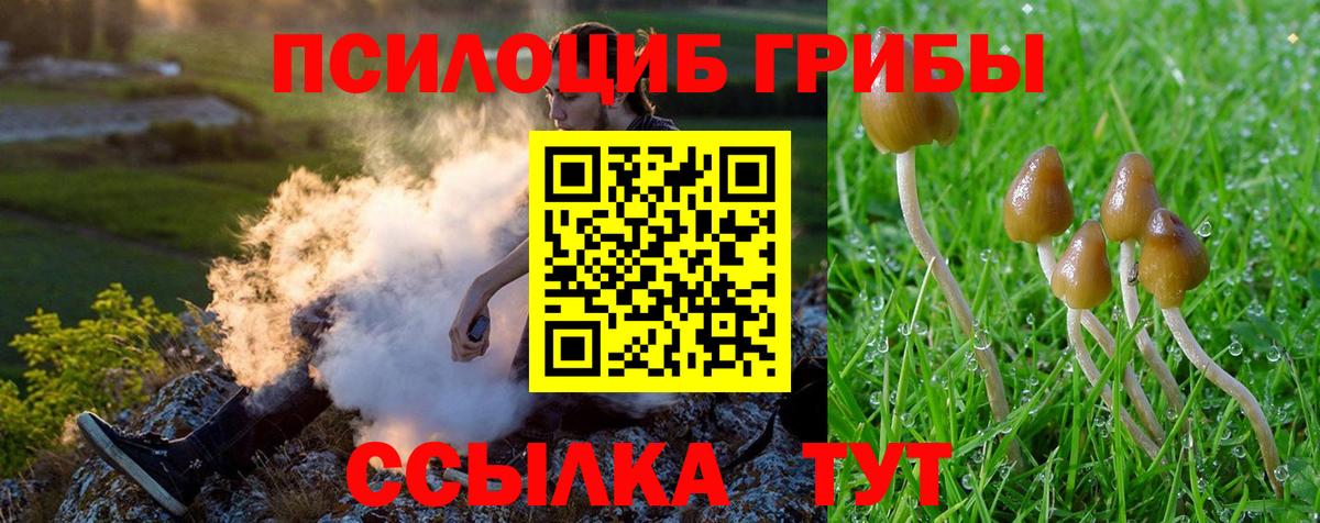 Свободный  Галлюциногенные грибы GOLDEN TEACHER  Вход с VPN  наркота  Галлюциногенные грибы GOLDEN TEACHER 