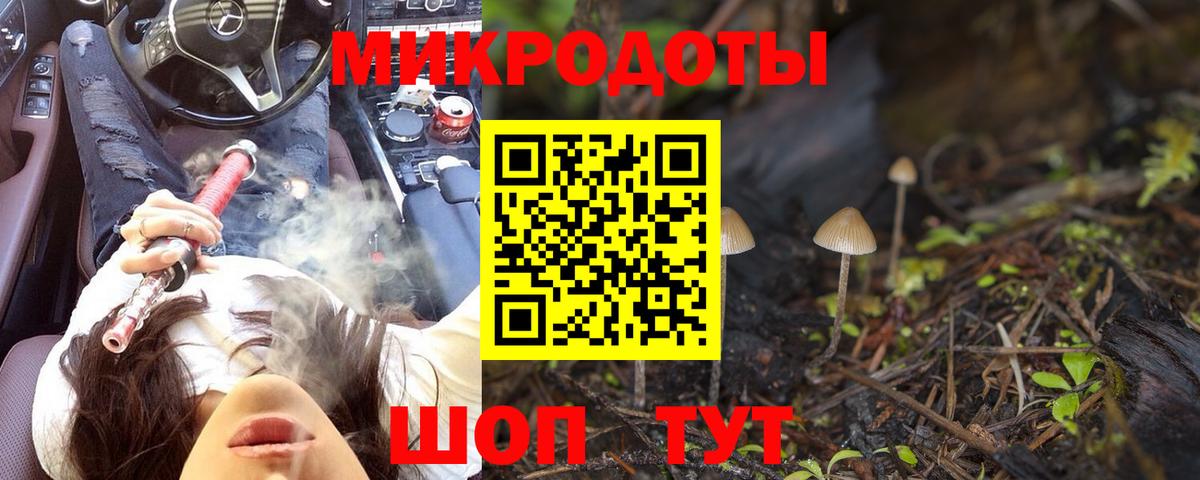 Псилоцибиновые грибы прущие грибы Свободный